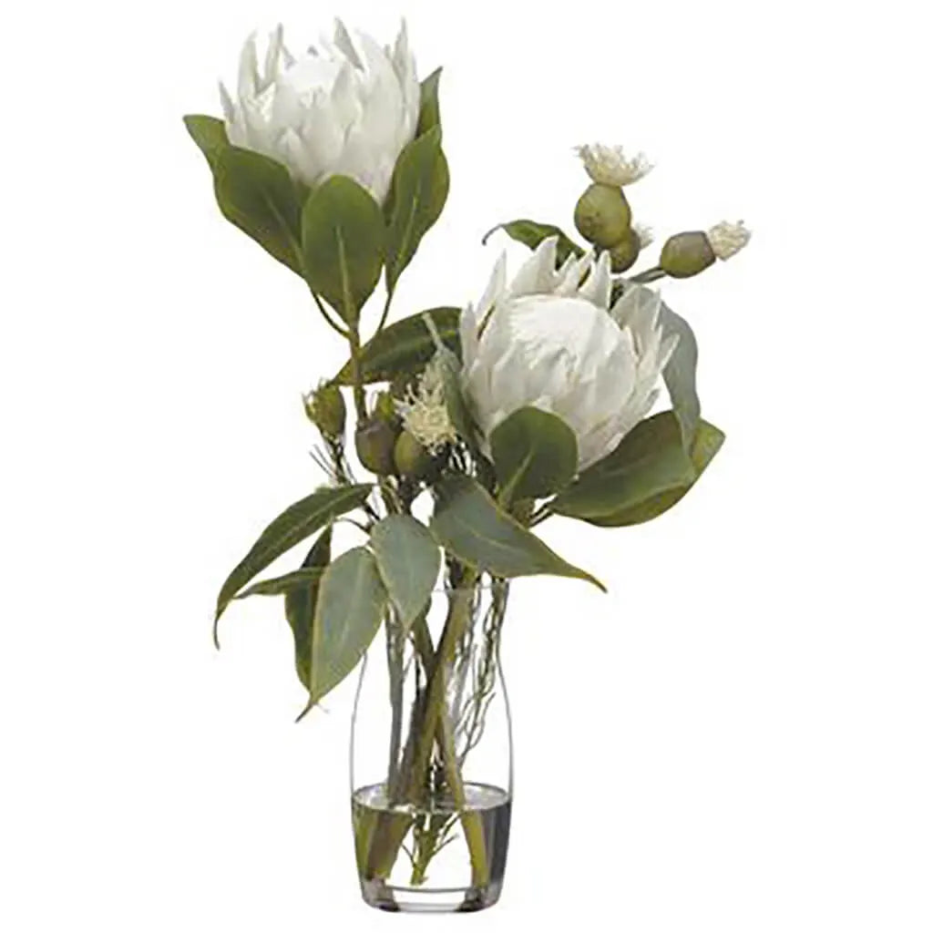 Protea / Eucalyptus in Glass Vase 22in H x X12in W x X13in L