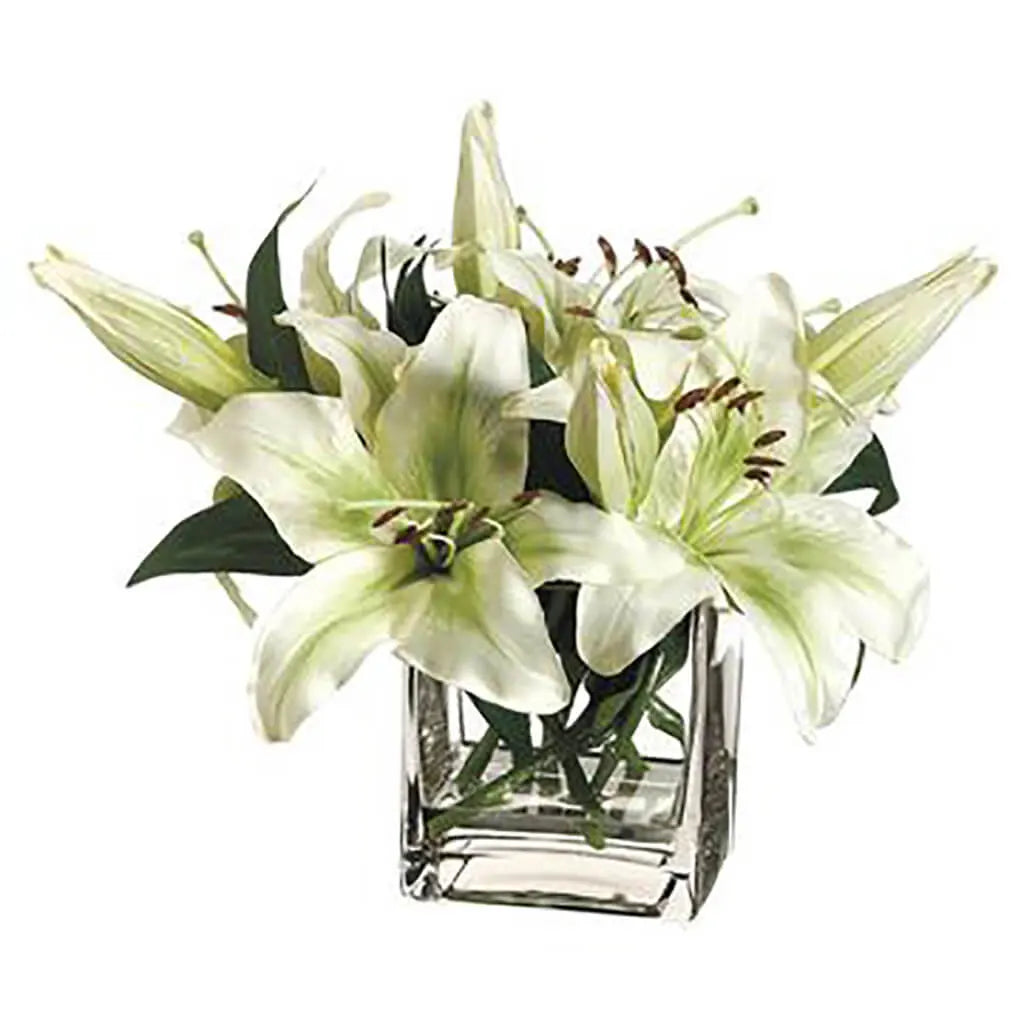 Stargazer Lily in Glass Vase 10in H x 12in W x 12in L, Green, White