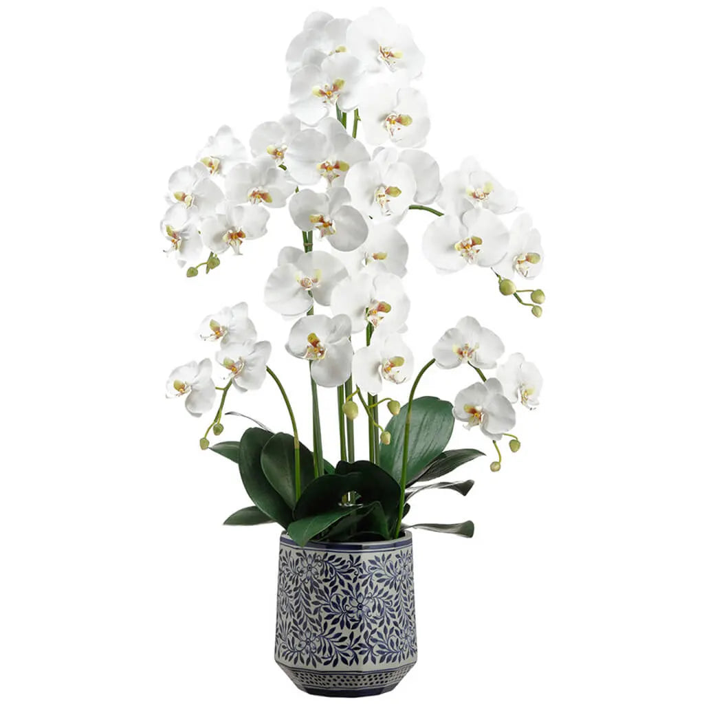 Phalaenopsis Orchid Plant in Ceramic Vase 37in, White