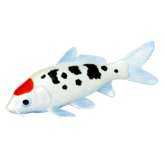 Koi Fish - Tancho
