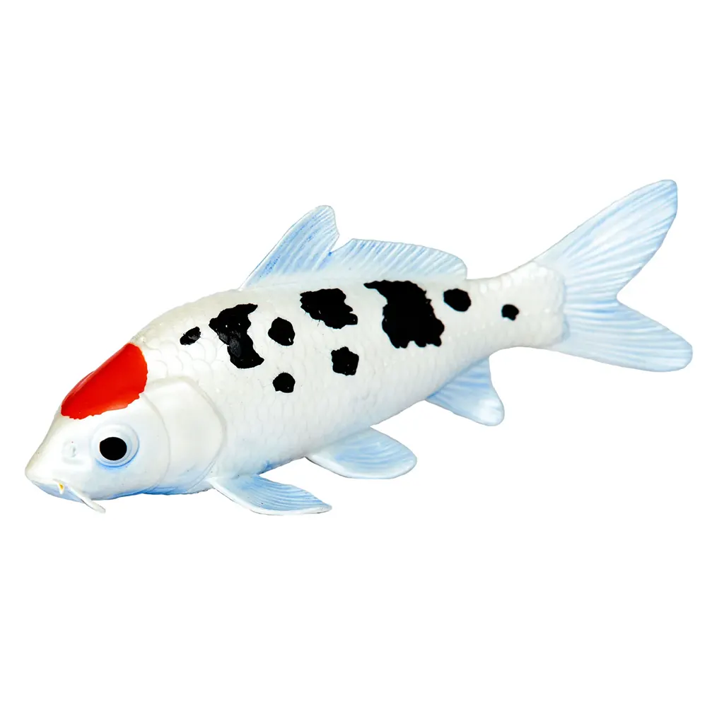 Koi Fish - Tancho