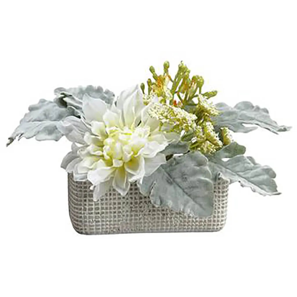 Dahlia Mixed in Cement Pot, 6.2in Cream