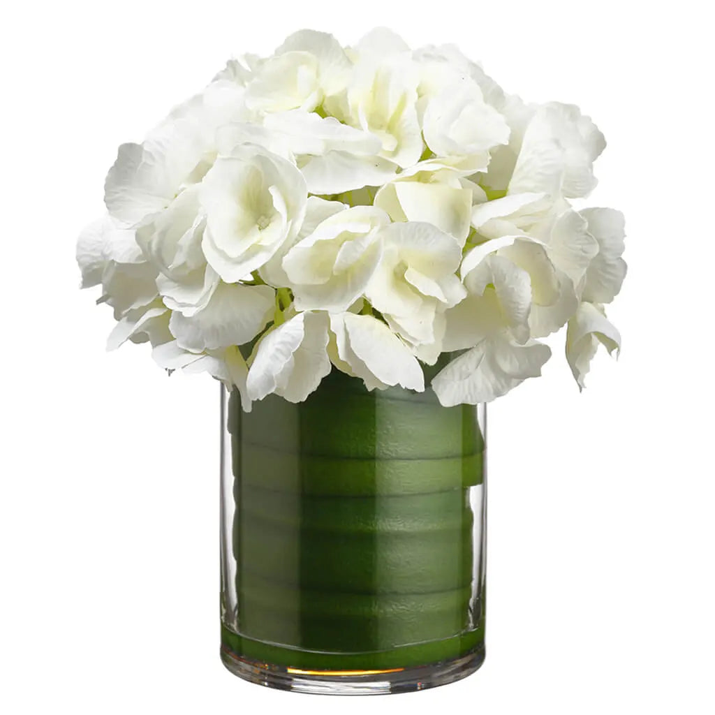 Hydrangea in Glass Vase,  White