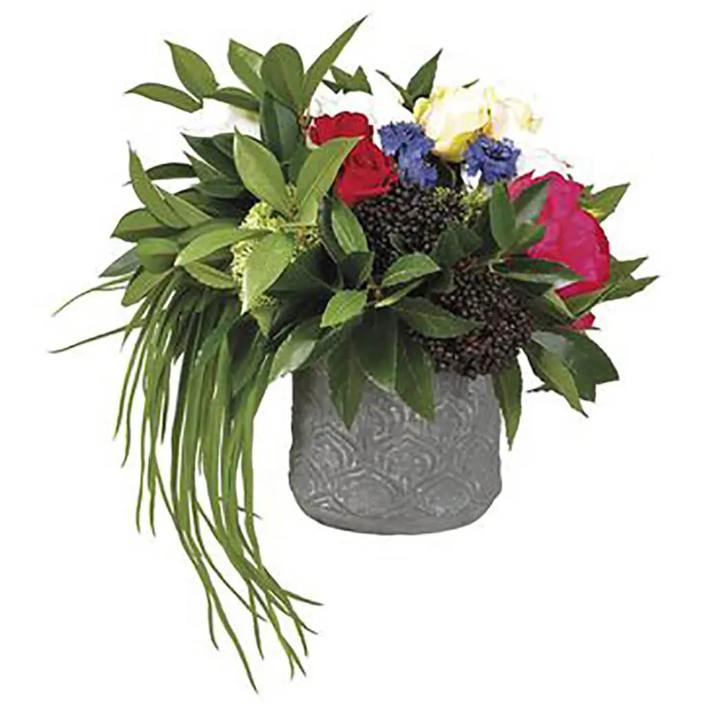 Rose/Shiki in Cement Pot 19in H x 19in W x 21in L, Yellow, Green