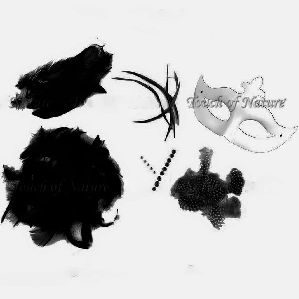 Mask-it DIY Black Feather Mask Kit, 1 mask