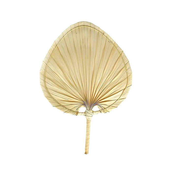 Touch of Nature 18in Palm Leaf Fan, 1pc
