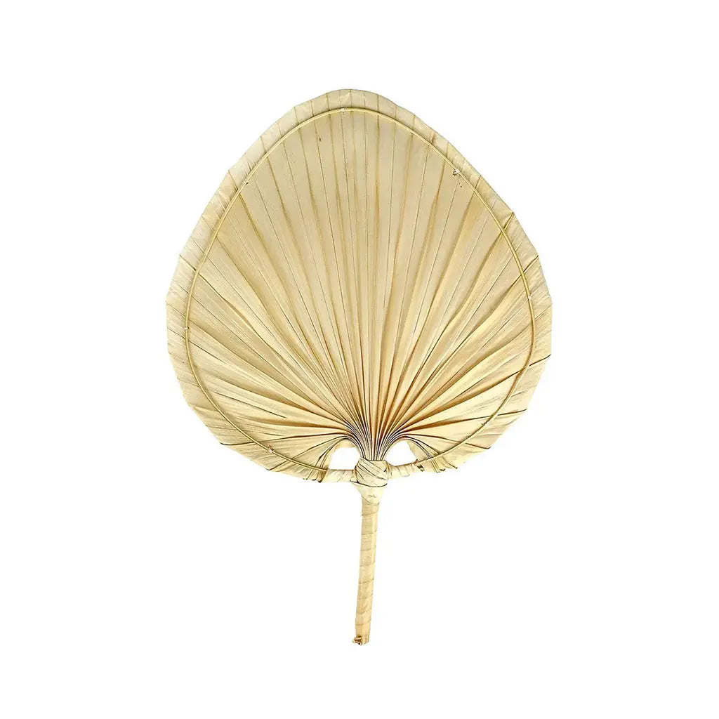 Touch of Nature 12in Palm Leaf Fan, 1pc