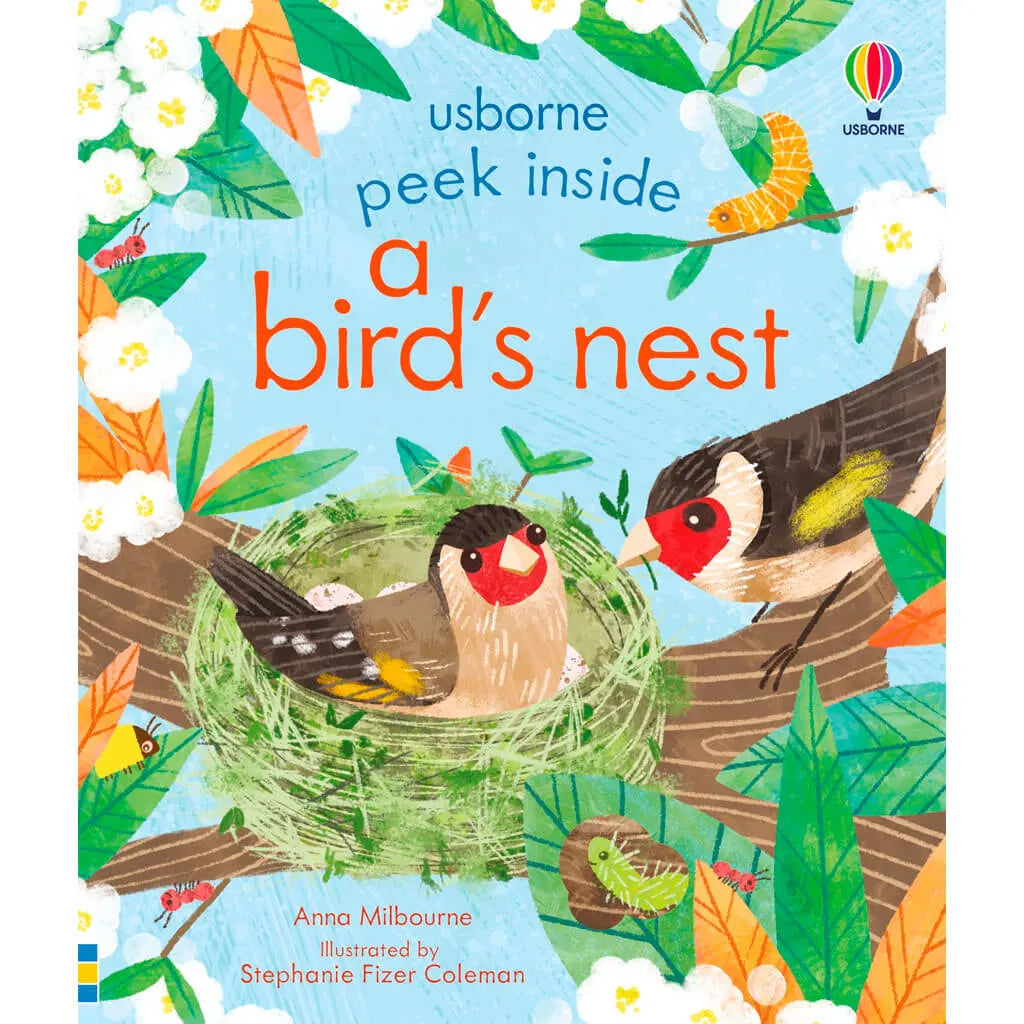 Peek Inside a Bird's Nest