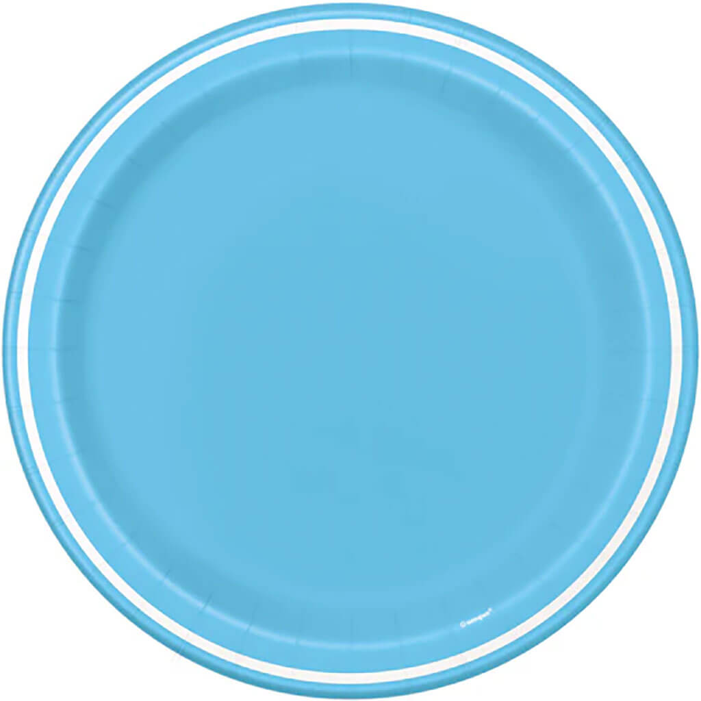 Powder Blue Striped Dinner Plates 9in, 8ct