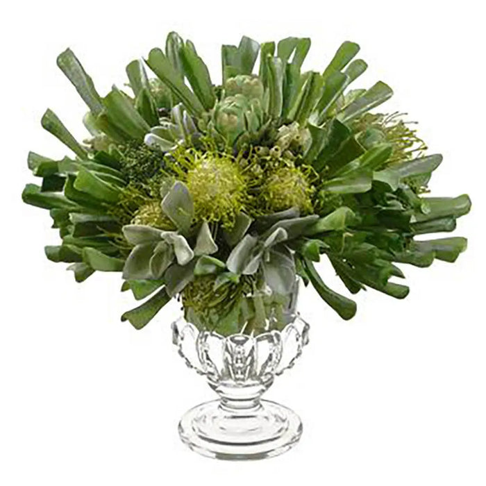Echeveria / Protea in Glass Vase 18in H x 18in W x 19in L, Green