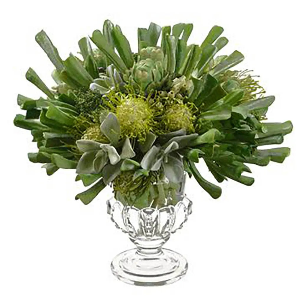 Echeveria / Protea in Glass Vase 18in H x 18in W x 19in L, Green