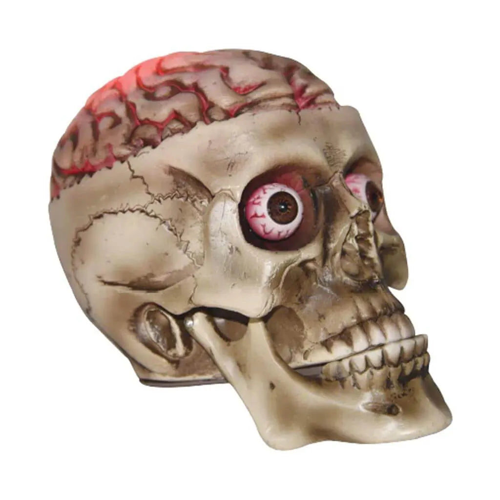 One Realistic Skull with Bloody Brain, 7.5in