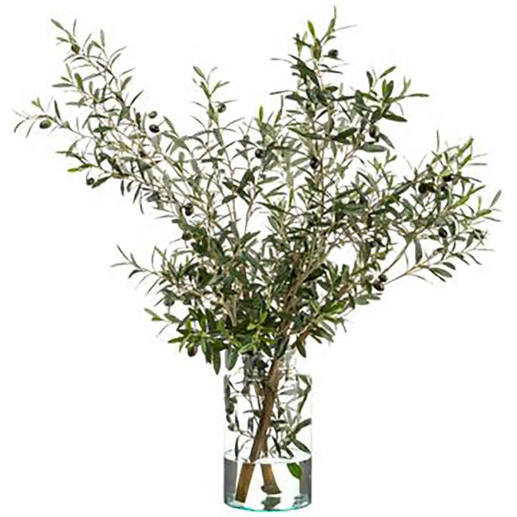 Olive Tree Branches in Glass Vase 49in H x 37in W x 35in L, Green Two Tone