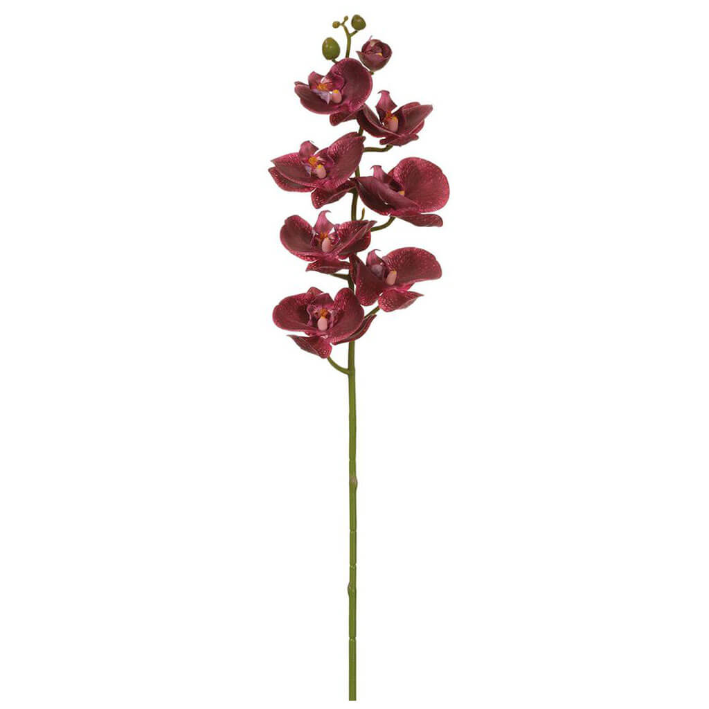 Real Touch Phalaenopsis Orchid Spray With 8 Flowers Plum, 30in