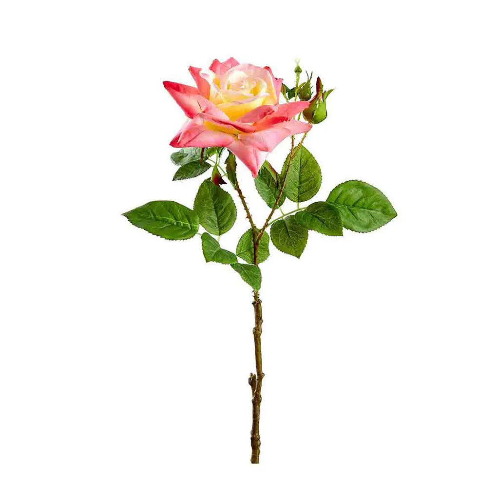Rose Spray Teaberry, 21in