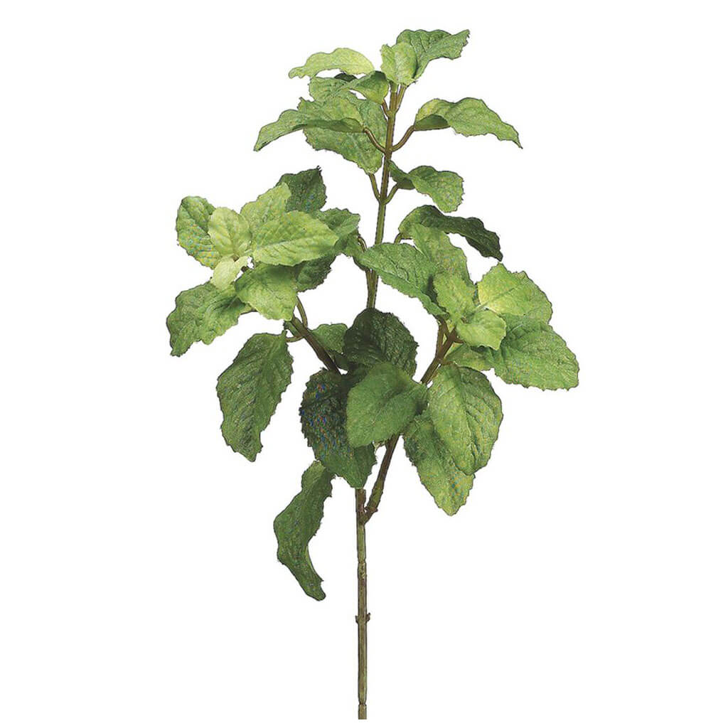 Mint Bush Green, 10in