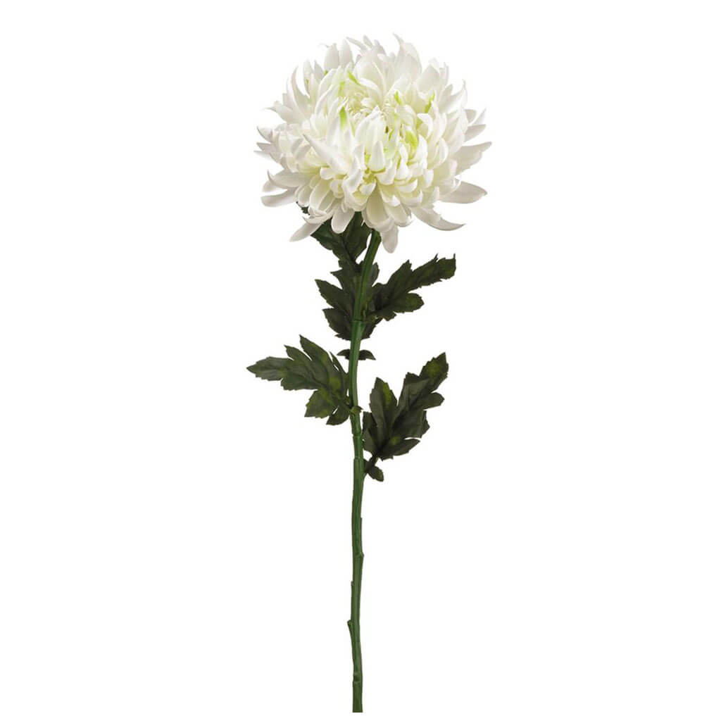 Chrysanthemum Spray White, 24in