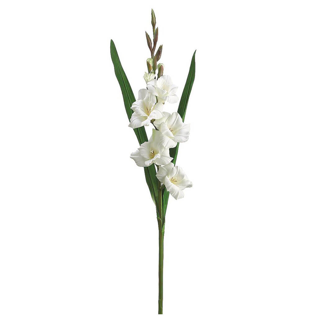 Gladiolus Spray Cream, 33in