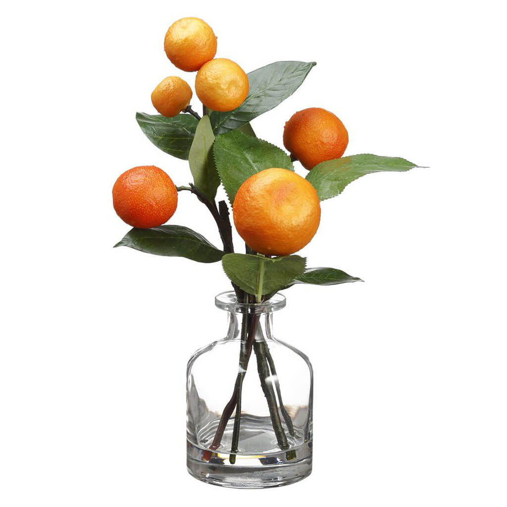 Orange in Glass Vase, 10in