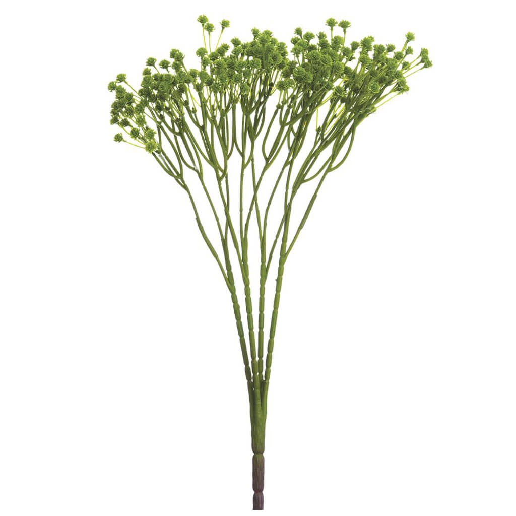 Gypsophila Bush x4 Green, 15in