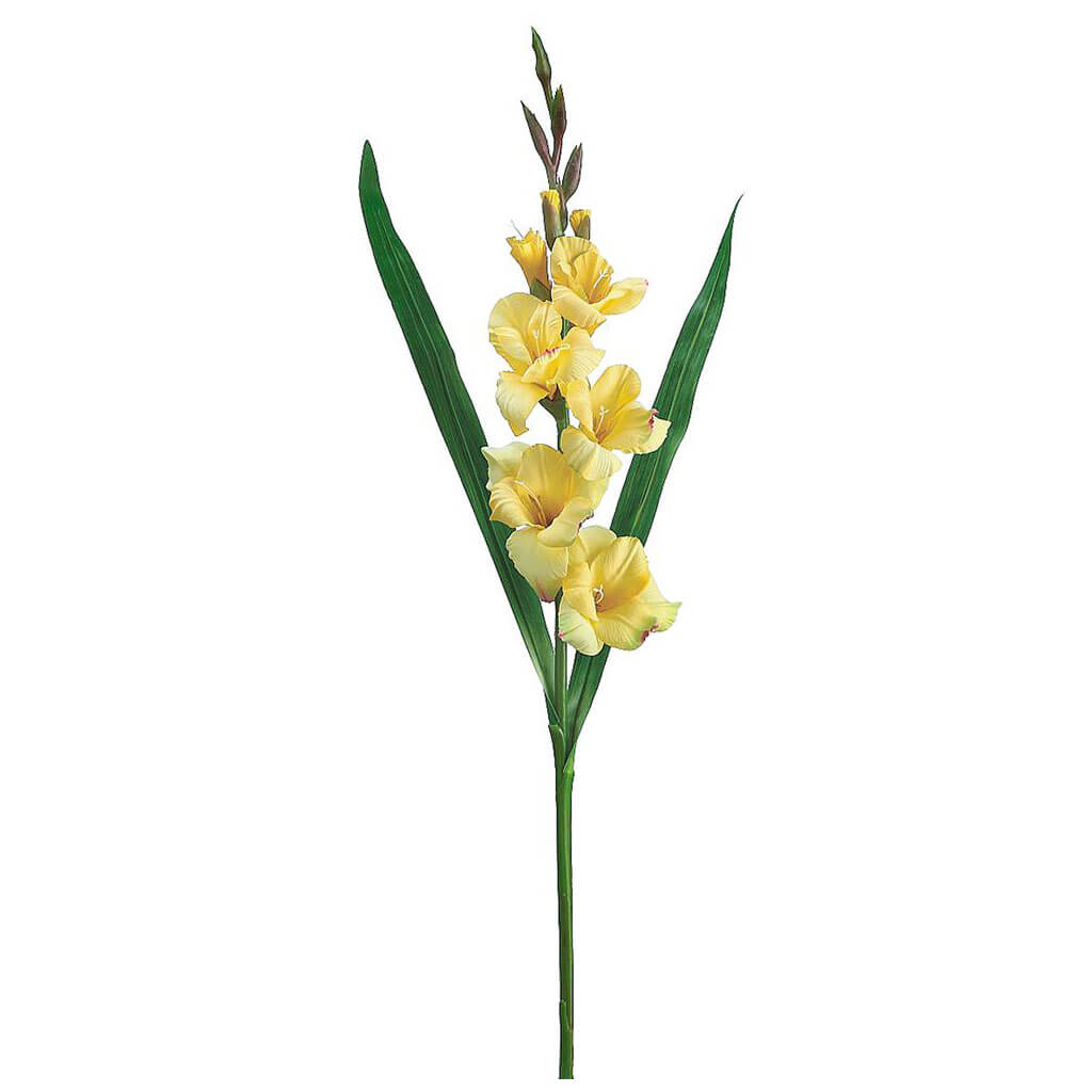 Gladiolus Spray Yellow, 33in