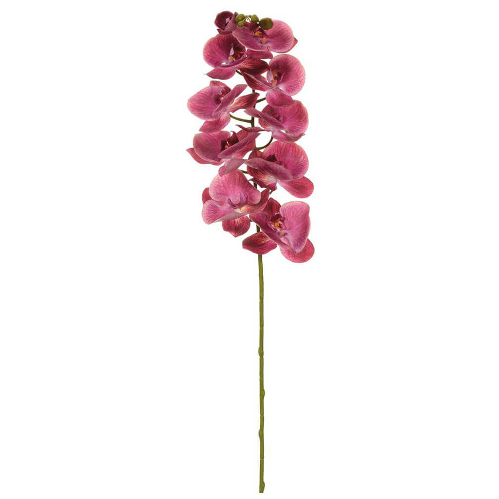 Real Touch Phalaenopsis Orchid Spray With 10 Flowers Plum, 42.5in