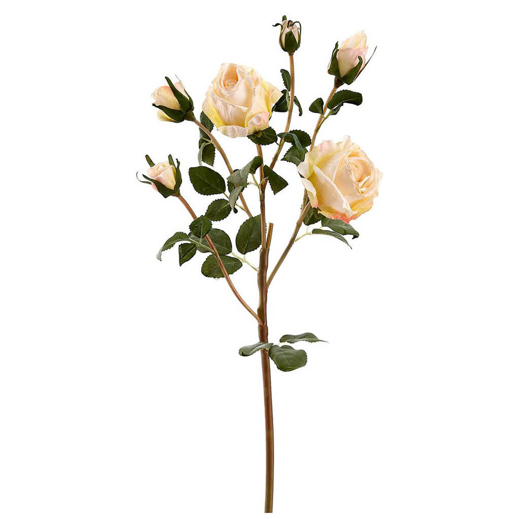 Rose Spray With 3 Flowers and 3 Buds Cream, 27.5in