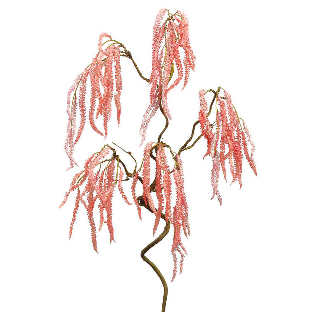 Amaranthus Spray Pink, 36in