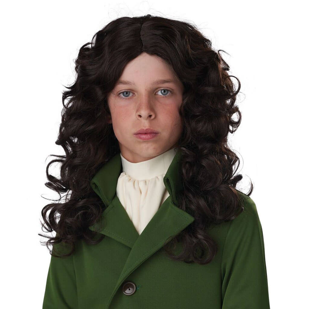 17Th Century Cavalier/Isaac Newton Wig/ Brown