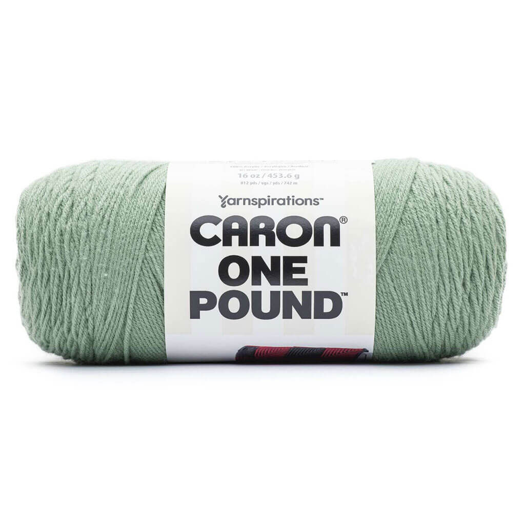 Caron One Pound Yarn, Succulent