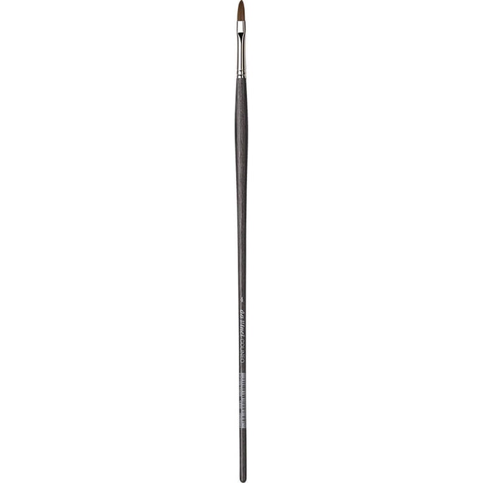 Colineo Oil Brush, Filbert Shape Size 4