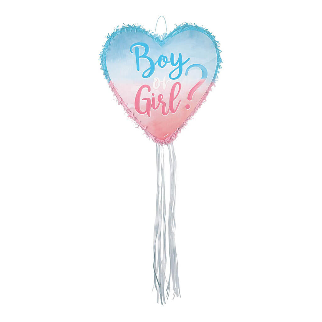 Boy or Girl?" Heart Outline Pull String Pinata