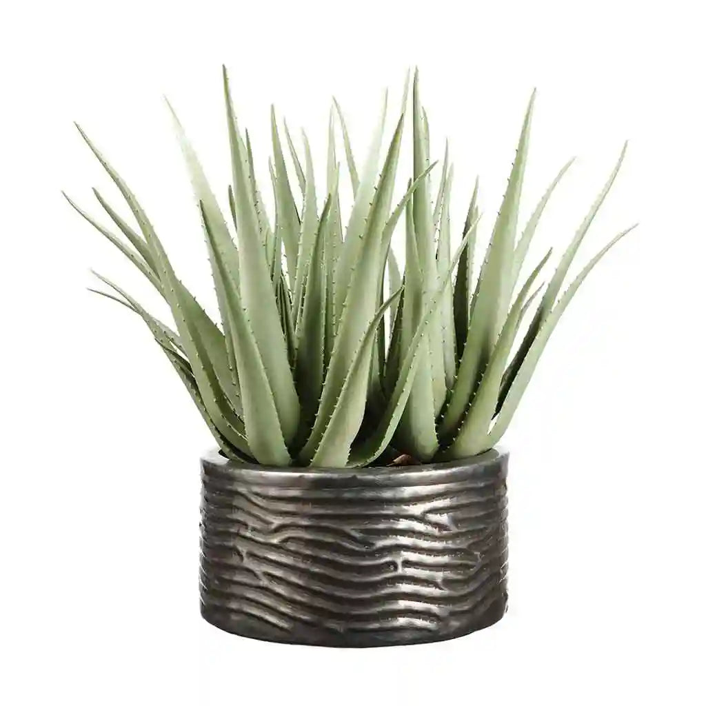 Agave Plant in Ribbed Planter 28in H x 28in W x 28in L, Green