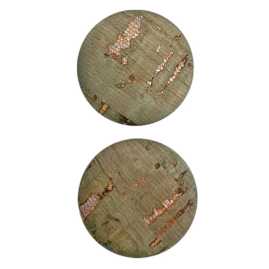 Cork Button 1in, Green 2Pcs