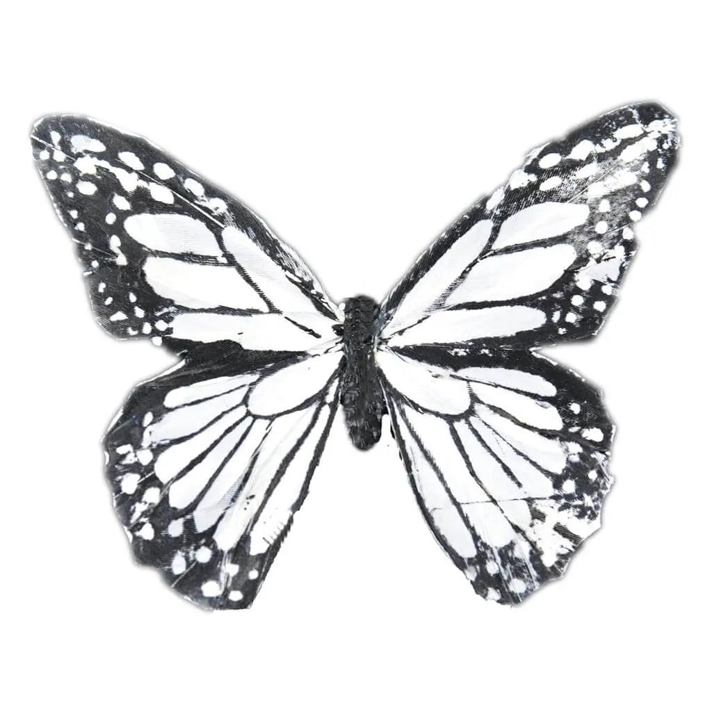 Touch of Nature 5in Black/White Feather Butterfly on wire