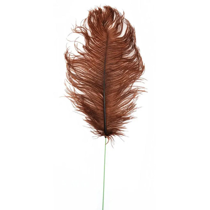 Touch of Nature 25in Chocolate Single Ostrich Plume