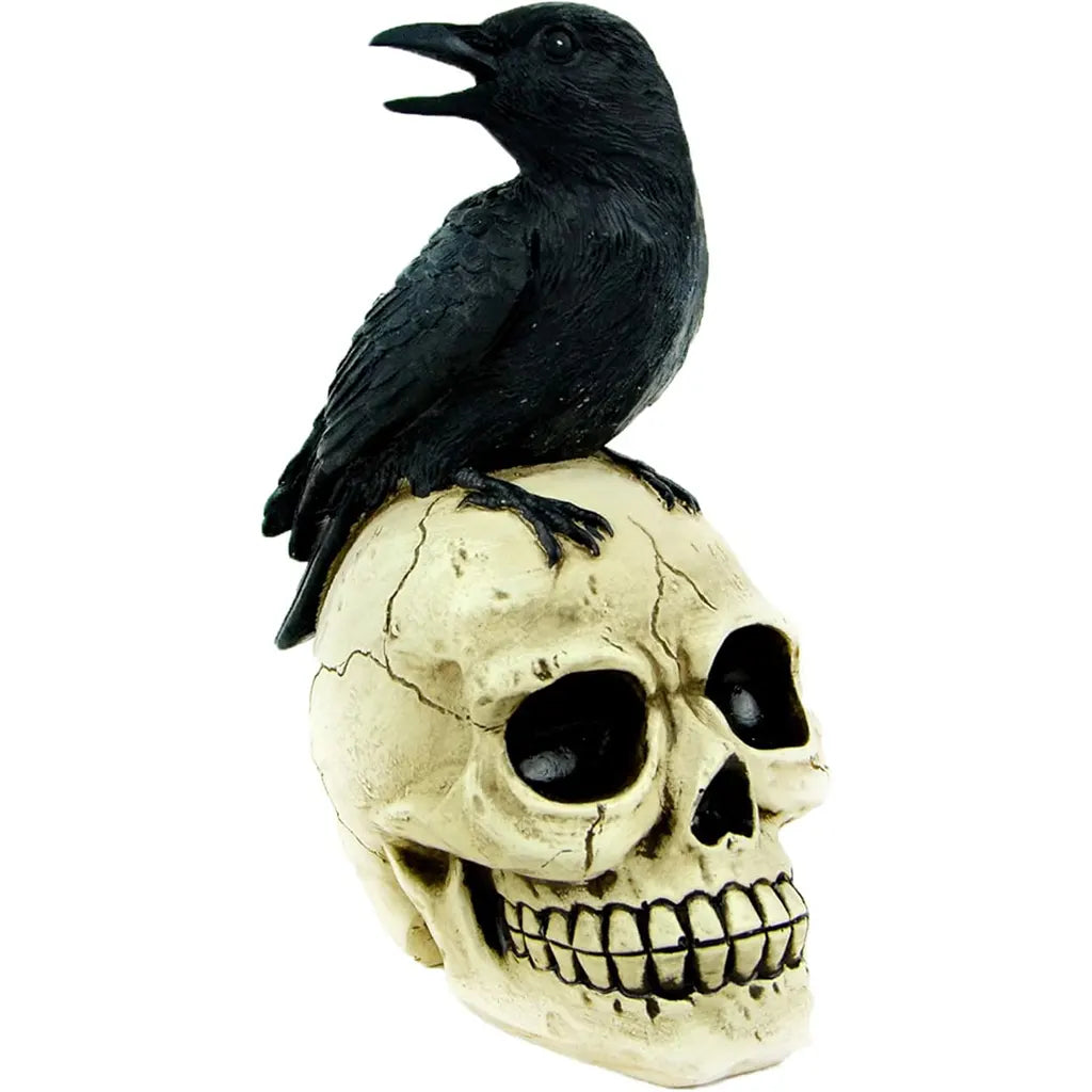 Touch of Nature 6.5in Black Crow Sitting on White Skull, 1 pc