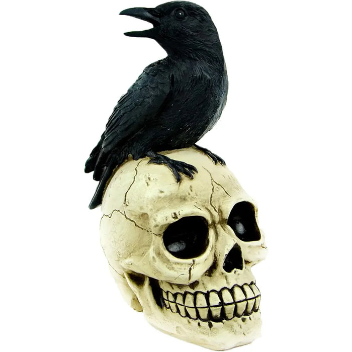 Touch of Nature 6.5in Black Crow Sitting on White Skull, 1 pc