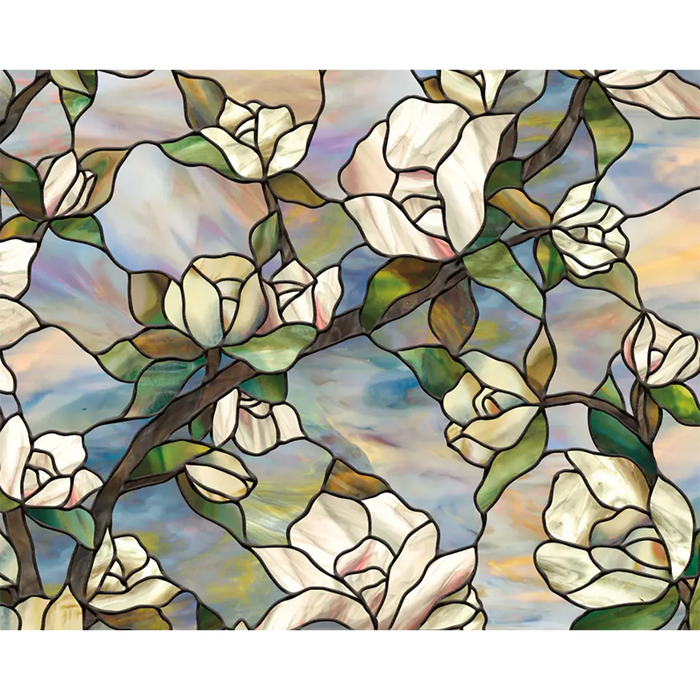 Window Film Star Magnolia