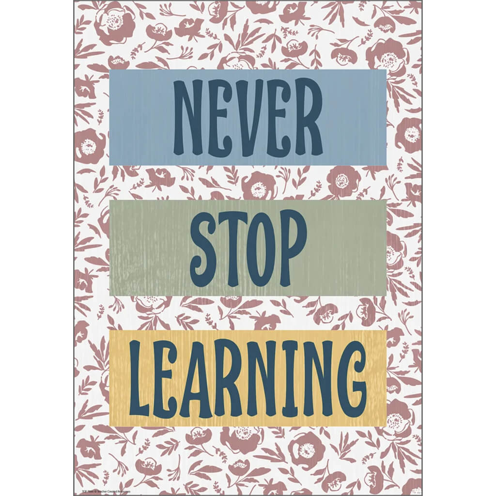 Never Stop Learning Positive Poster