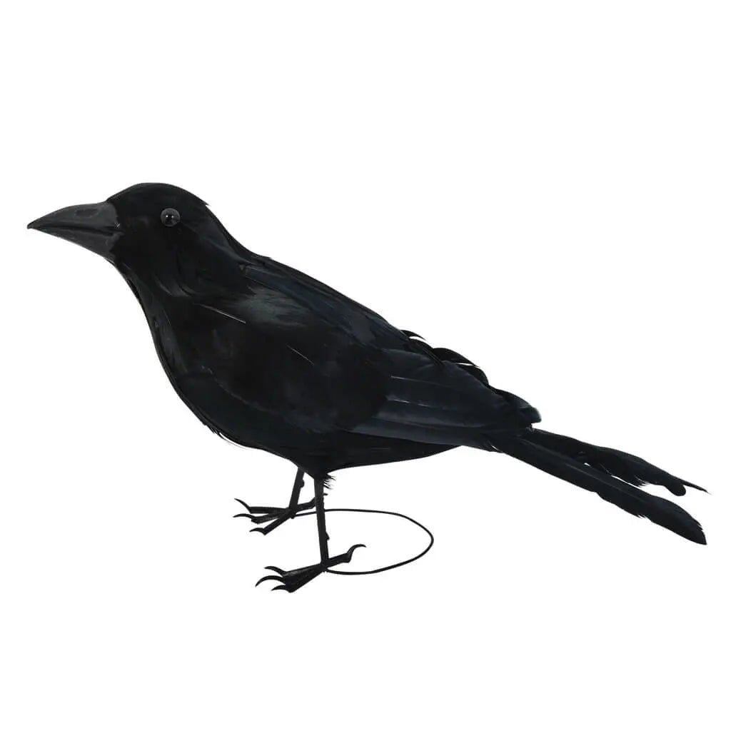 Black Raven with Feathers Decor