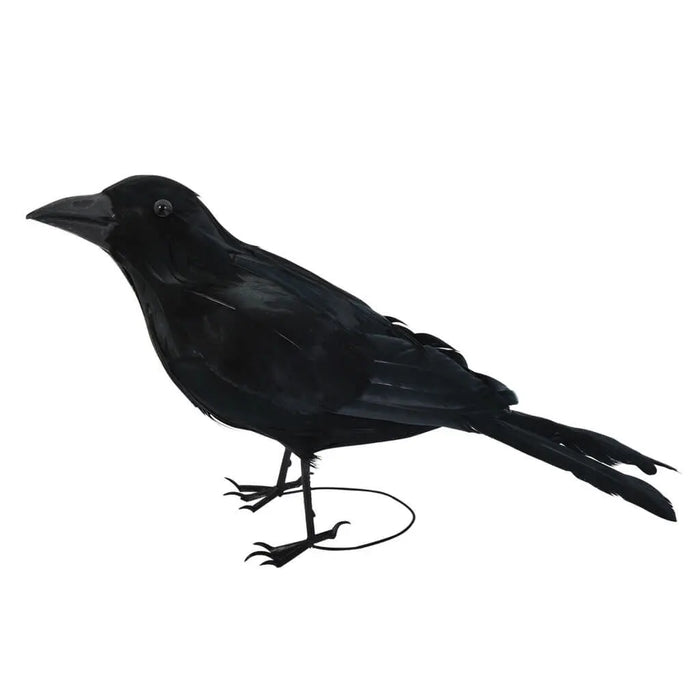 Black Raven with Feathers Decor
