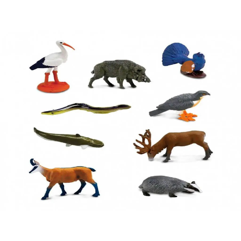 Australian Continent