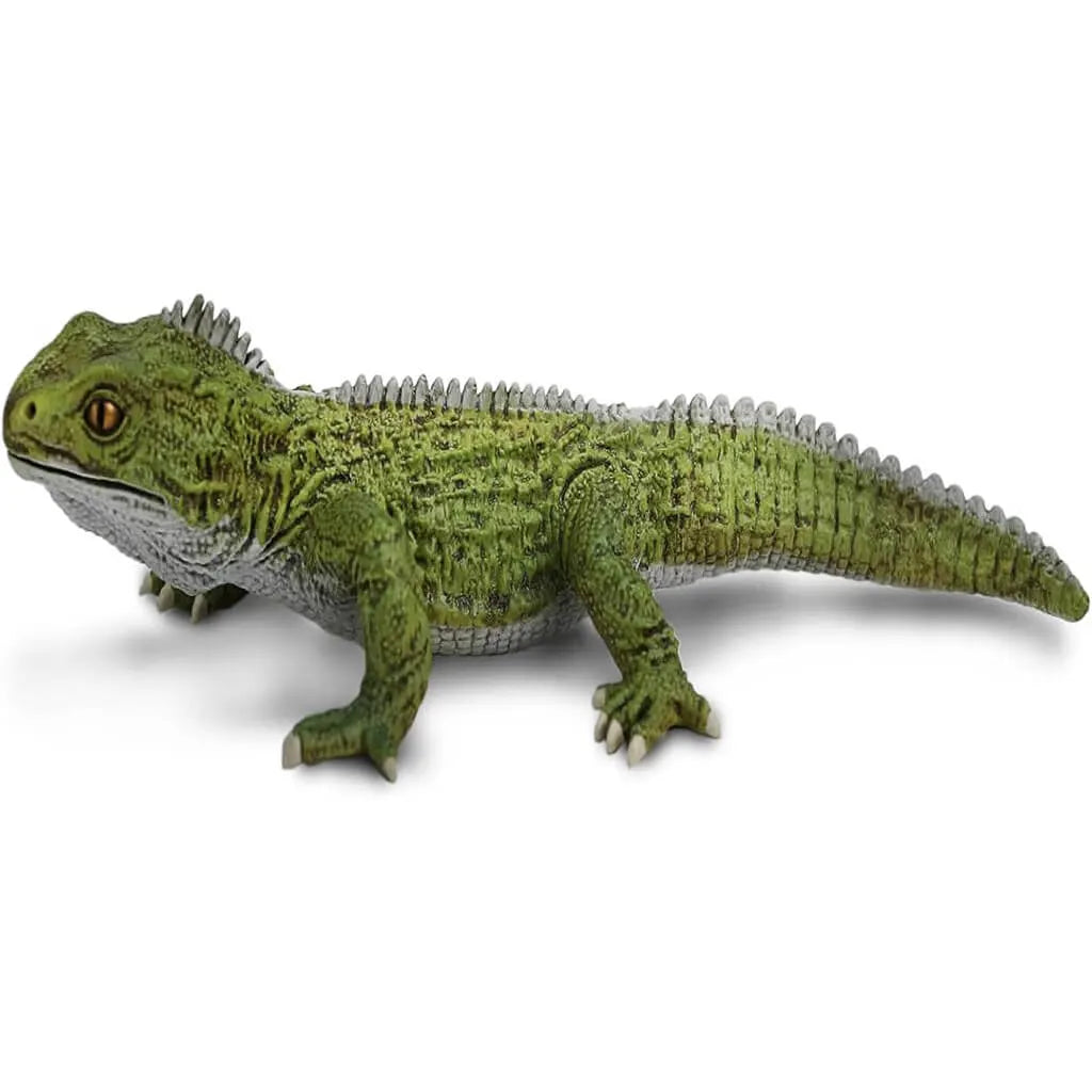 Tuatara