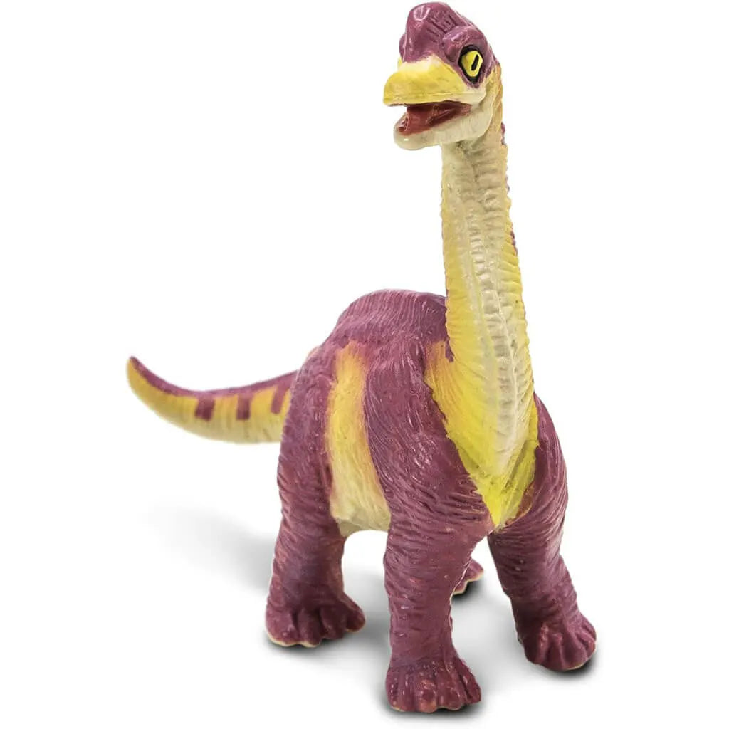 Brachiosaurus Baby