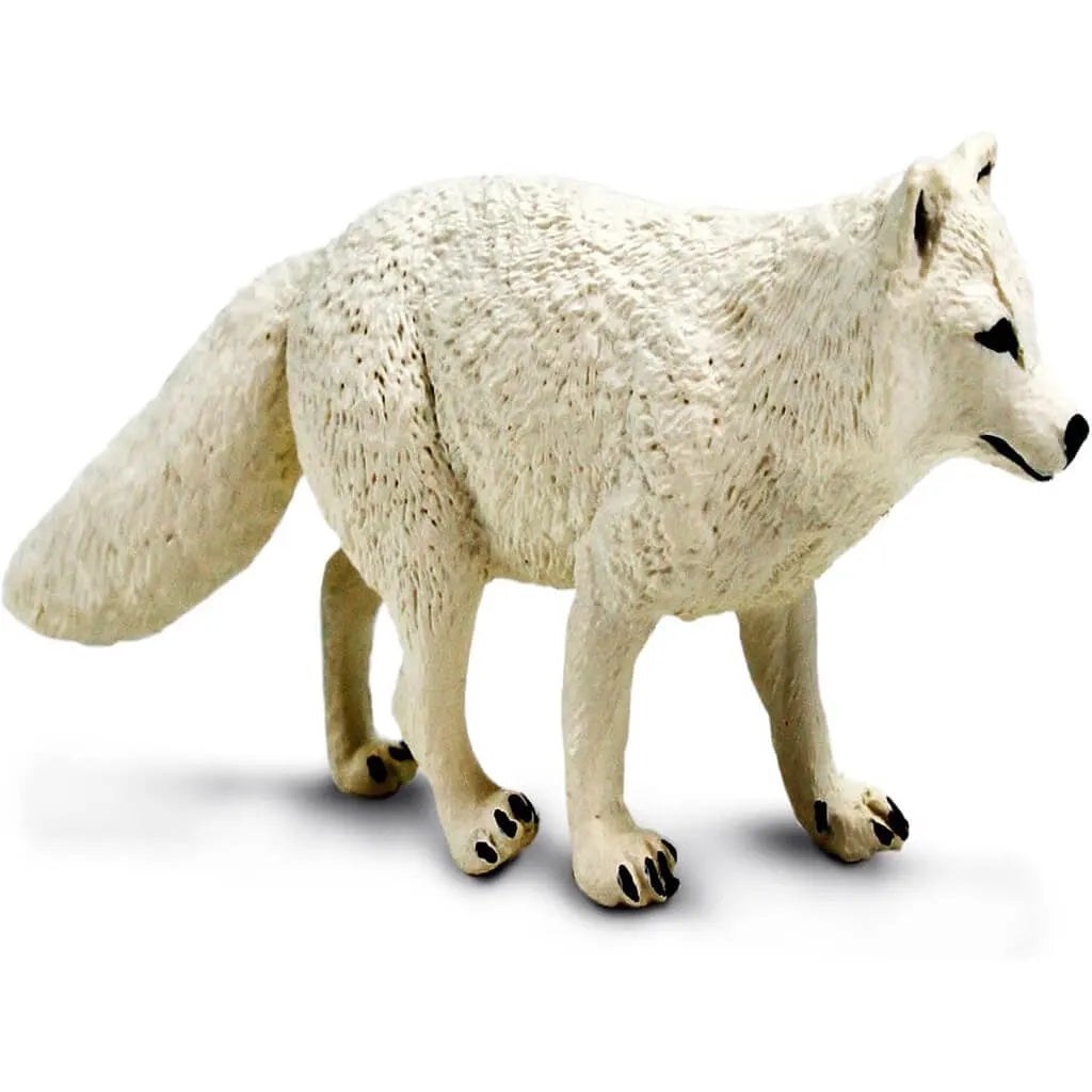 Arctic Fox