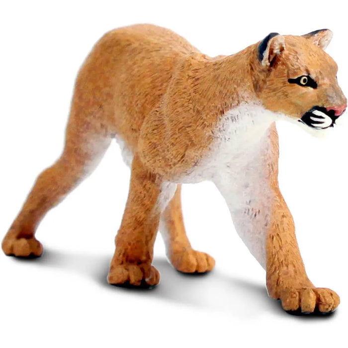 Mountain Lion