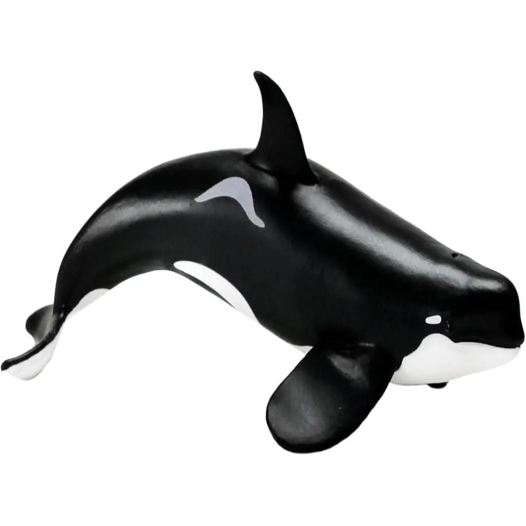Type D Orca