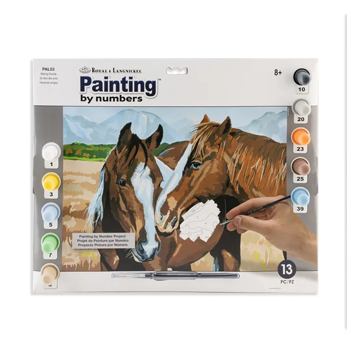 Painting by numbers 13pc 11.25in x 13.375in Making Friends Painting Project