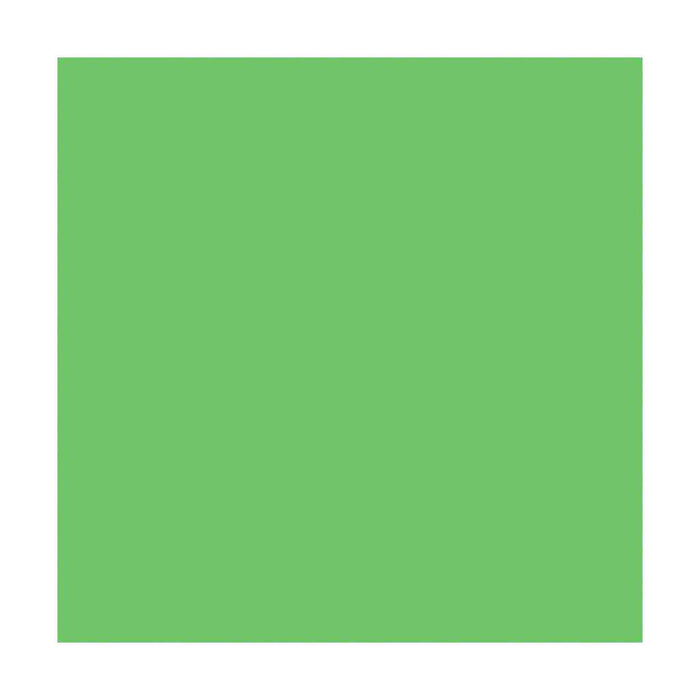 Lamali Classic Lokta Paper 60gsm 20in x 30in, Spring Green